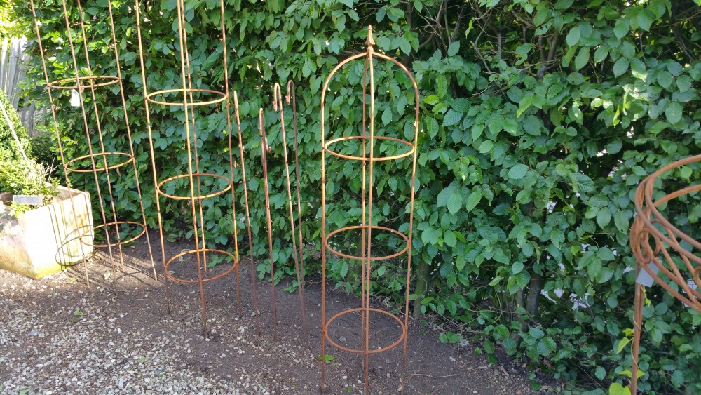 Tuteurs pour plantes 